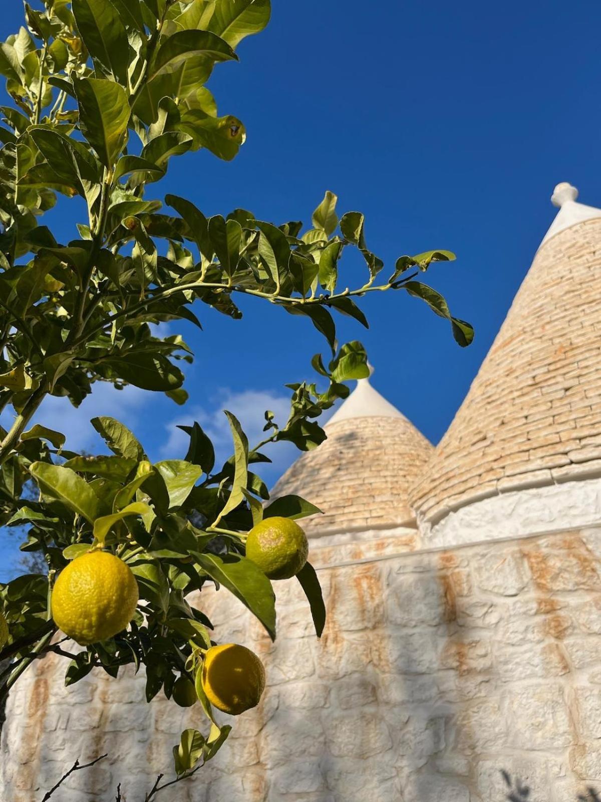 Trullo Gritti All'Antico Uliveto San Michele Salentino Exterior foto
